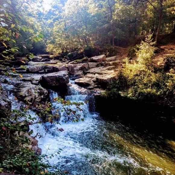 Hey im Chelsea 💀🌼 - Picture 5 of 12